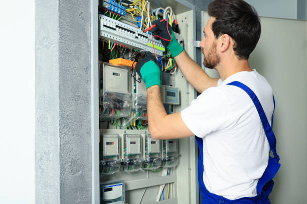 Best Electric Panel Repair  in Macon, IL